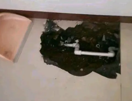 循化卫生间测漏水多少钱